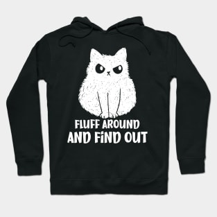 Fluff Around and Find Out Funny Cat Hoodie